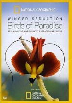 Watch Winged Seduction: Birds of Paradise M4ufree