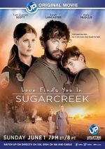 Watch Love Finds You in Sugarcreek M4ufree
