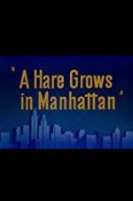 Watch A Hare Grows in Manhattan M4ufree