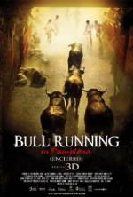 Watch Encierro 3D: Bull Running in Pamplona M4ufree