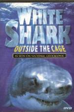 Watch National Geographic white shark:outside the cage M4ufree