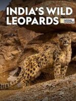 Watch India\'s Wild Leopards (Short 2020) M4ufree