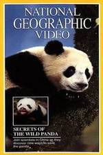 Watch Secrets of the Wild Panda M4ufree