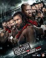 Watch WWE Survivor Series WarGames (TV Special 2024) M4ufree