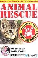 Watch Animal Rescue, Volume 2: Best Cat Rescues M4ufree