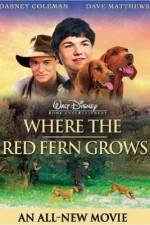 Watch Where the Red Fern Grows M4ufree