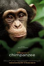 Watch Chimpanzee M4ufree