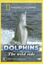 Watch Dolphins: The Wild Side M4ufree
