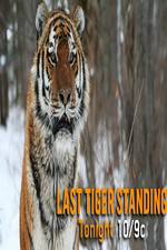 Watch Discovery Channel-Last Tiger Standing M4ufree