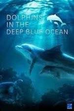 Watch Dolphins in the Deep Blue Ocean M4ufree