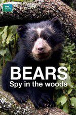 Watch Bears: Spy in the Woods M4ufree