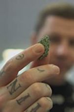 Watch Professor Green: Is It Time to Legalise Weed? M4ufree