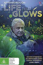 Watch Attenborough\'s Life That Glows M4ufree