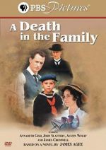 Watch A Death in the Family M4ufree