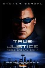 Watch True Justice: Brotherhood M4ufree