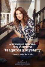 Watch A Bundle of Trouble: An Aurora Teagarden Mystery M4ufree