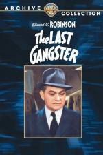 Watch The Last Gangster M4ufree