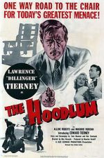 Watch The Hoodlum M4ufree