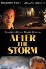 Watch After the Storm M4ufree