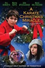 Watch A Karate Christmas Miracle M4ufree