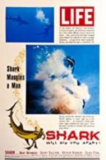 Watch Shark M4ufree