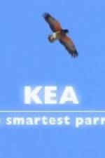 Watch Kea - The Smartest Parrot M4ufree