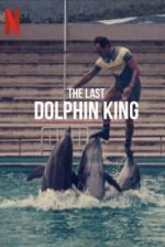 Watch The Last Dolphin King M4ufree