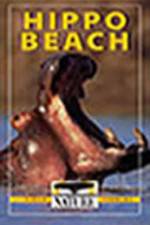 Watch PBS Nature - Hippo Beach M4ufree