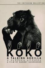 Watch Koko, le gorille qui parle M4ufree