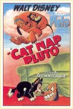 Watch Cat Nap Pluto M4ufree