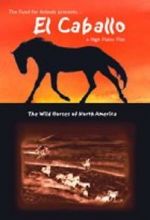 Watch El Caballo: The Wild Horses of North America M4ufree