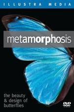 Watch Metamorphosis: The Beauty and Design of Butterflies M4ufree