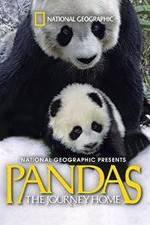 Watch Pandas: The Journey Home M4ufree