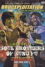 Watch Soul Brothers of Kung Fu M4ufree