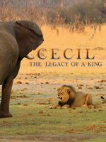 Watch Cecil: The Legacy of a King M4ufree