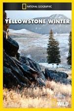 Watch National Geographic Yellowstone Winter M4ufree
