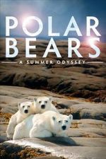 Watch Polar Bears: A Summer Odyssey M4ufree