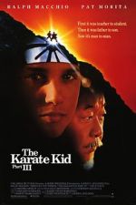 Watch The Karate Kid Part III M4ufree
