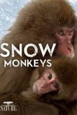 Watch Nature: Snow Monkeys M4ufree