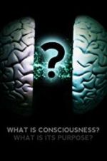 Watch What Is Consciousness? What Is Its Purpose? M4ufree