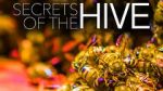 Watch Secrets of the Hive M4ufree