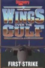 Watch Wings Over the Gulf Vol  1  First Strike M4ufree