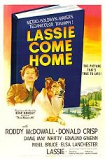 Watch Lassie Come Home M4ufree