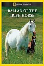 Watch Ballad of the Irish Horse M4ufree