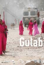 Watch Gulabi Gang M4ufree