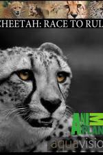 Watch Cheetah: Race to Rule M4ufree