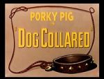 Watch Dog Collared (Short 1950) M4ufree