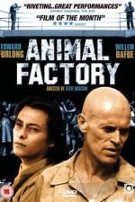 Watch Animal Factory M4ufree