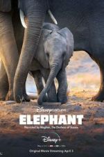 Watch Elephant M4ufree