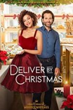 Watch Deliver by Christmas M4ufree